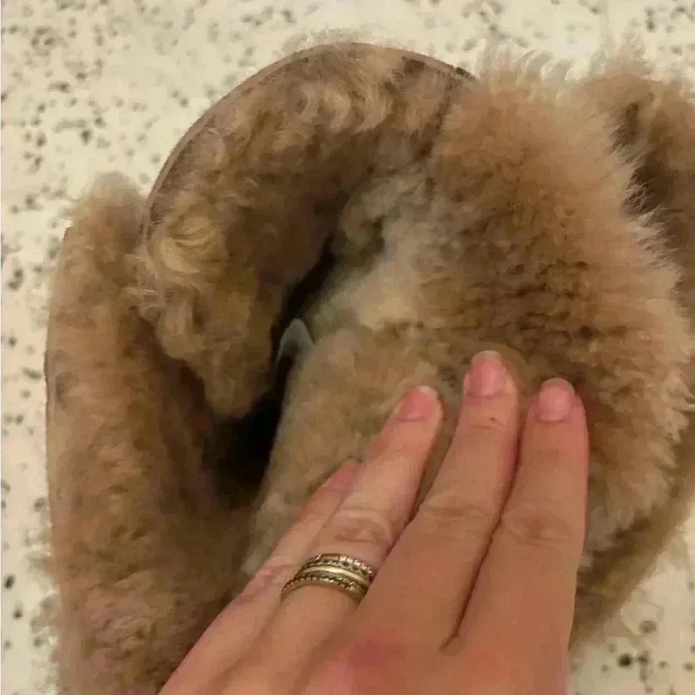 Nash Aviator Shearling Fur‎ Boot Chocolate
